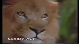 Abc  The Wonderful World Of Disney  George Of The Jungle 1997 Sunday Bumper 1998