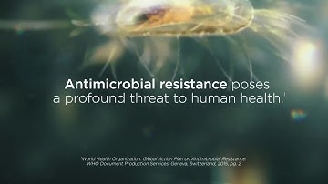 Accurate, Automated ID/AST: DxM MicroScan WalkAway