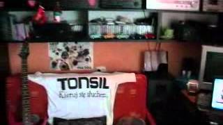 Unitra Diora Ws432Kolumny Samoróbki Tonsil