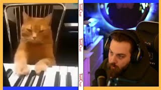 Elraenn Yabancı Memes İzliyor