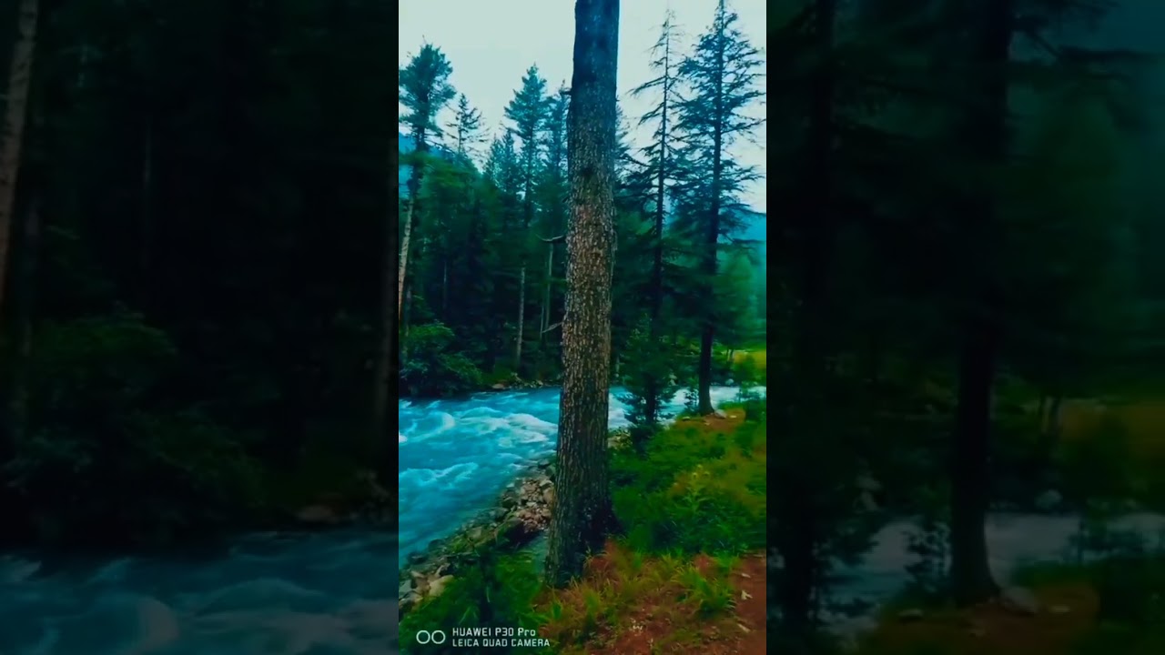 kumrat Beauty kumrat tourist beautiful place in the world 🌎