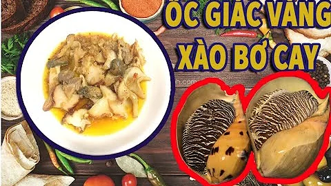 Top 13 ốc giác xào bơ tỏi