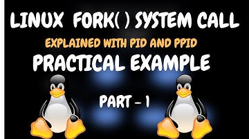 Fork() | PID | PPID | Linux | System Calls | C programming | OS | 2024