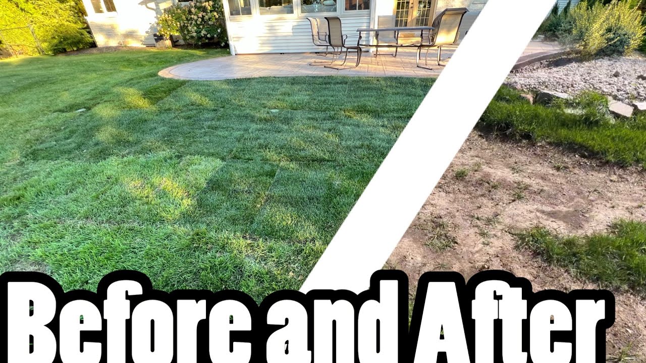 Landscaping Vlog: Backyard transformation! - YouTube