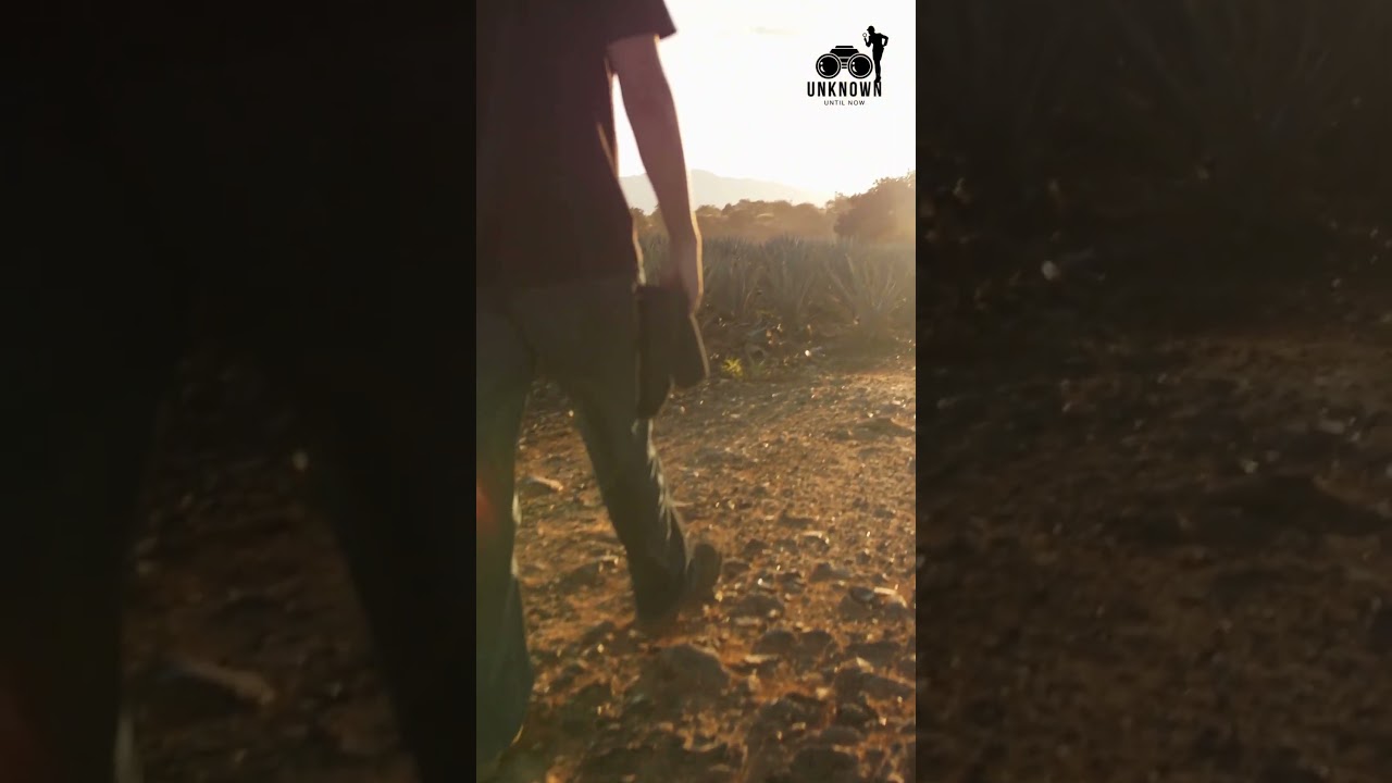 THE M CAVE ⏳ |UnknownUntilNow