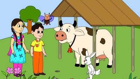 Class 3 Looking Around EVS Chapter -24 "Web of Life" English Environmental Studies cbse ncert