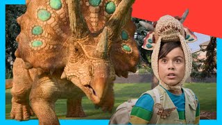 Triceratops Dino Defends Eggs Dinosaurs For Kids