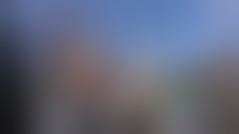 Monroe Street Fair Hash Bash Festival 2017