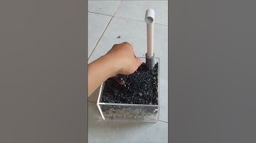 Hướng Dẫn Lắp Đặt Lọc Đáy Đúng Chuẩn Cho Hồ Tép