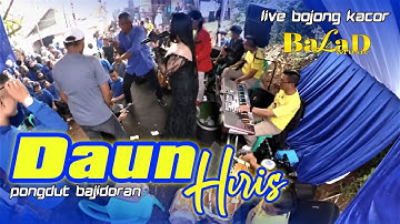 Daun Hiris - Pongdut Bajidor | Balad Music Live Bojong Kacor
