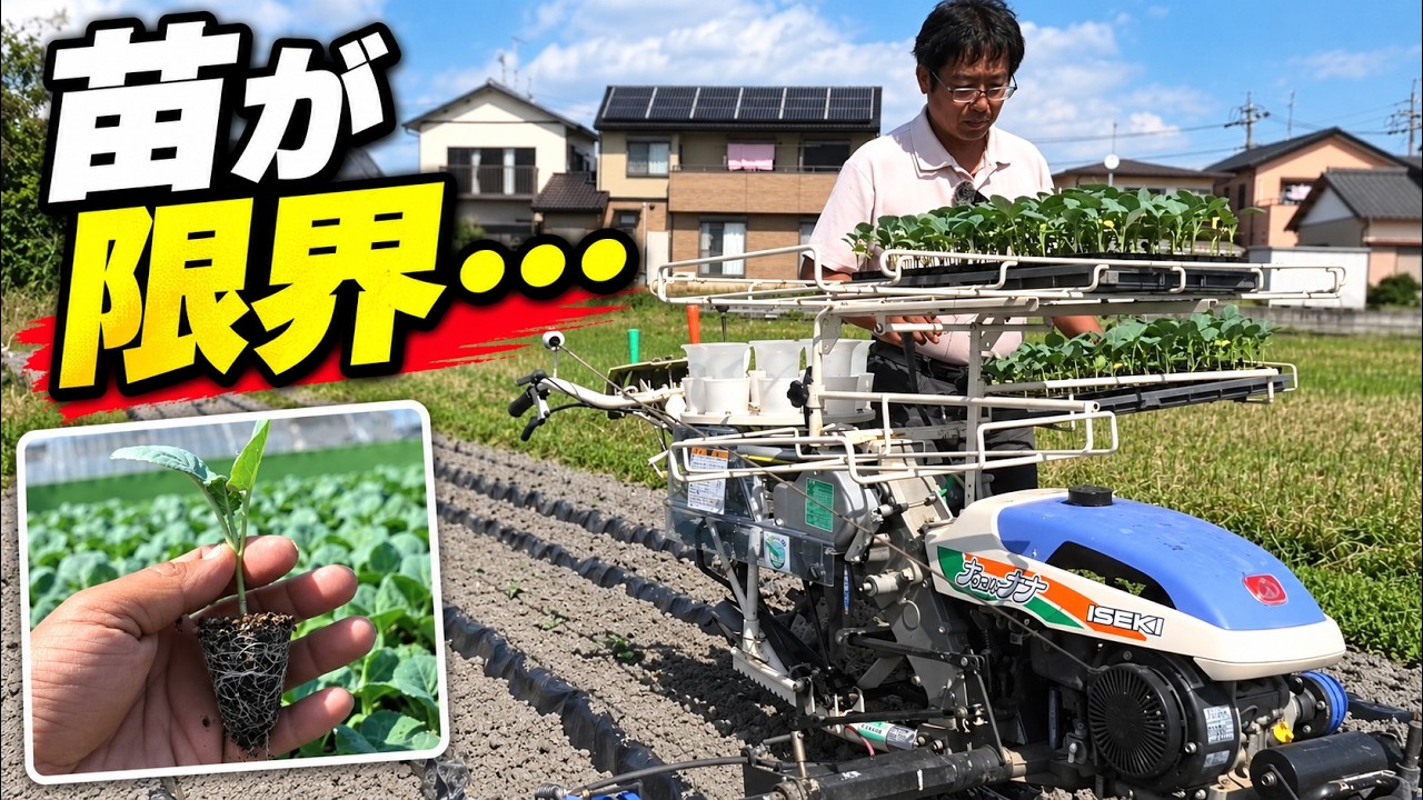 2 Weeks Behind Finally Starting Winter Vegetable Planting! Will