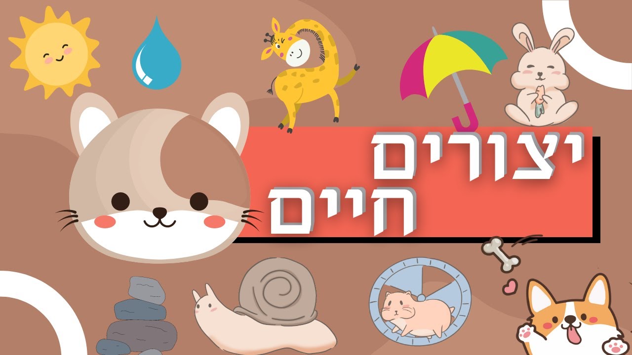 יצורים חיים מה מגדיר יצור חי ומי לא יצור חי מדעים וטבע בעלי חיים צמחים