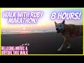 8 HOURS! Walk With Ruby MARATHON! Relaxing Music & Virtual Dog Walk #videosfordogs