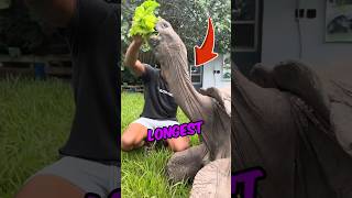 Here Are The Top 5 Creatures That Can Live The Longest!!