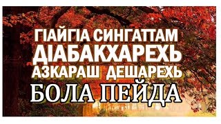 ГIайгIа, сингаттам дIабакхарехь азкараш дешарехь бола пейда | Абу Малик