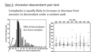 Evolutionary trends vs. random walks