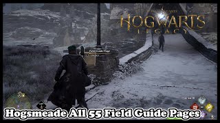 Hogsmeade All 55 Field Guide Page Locations in Hogwarts Legacy