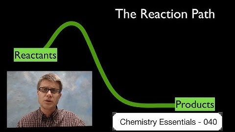 The Reaction Path