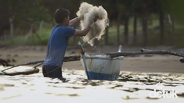 A closer look at Interface Net Effect