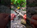 how to tighten a loose rope✅✅✅ #knot #creative #ideas #rope #shorts #fyp #youtubeshorts
