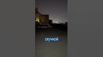 Кот Баскервилей светится в темноте