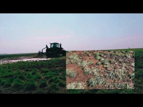 Как правильно вносить