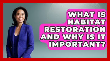 What Is Habitat Restoration and Why Is It Important? | Explaining Ecology News