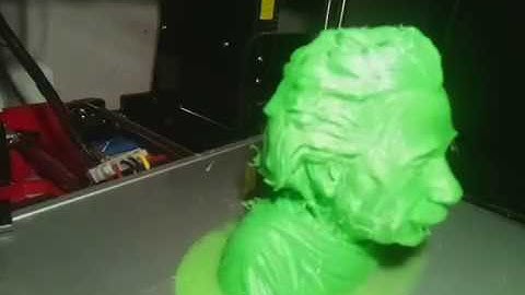 Albert Einstein Timelapse - Anet A8 3D Printer