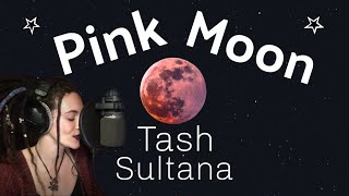 PINK MOON - TASH SULTANA | The Friz Cover