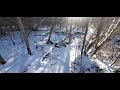 Crunchy Spring Snow Steps &amp; Icy Stream – pure nature sounds/ wildlife. #sleepsounds #asmr #nature 