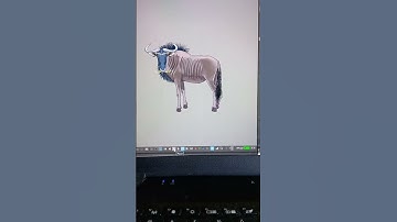 wildebeest for the next scene, created in OpenToonz with "plastic". #opentoonz #2danimation