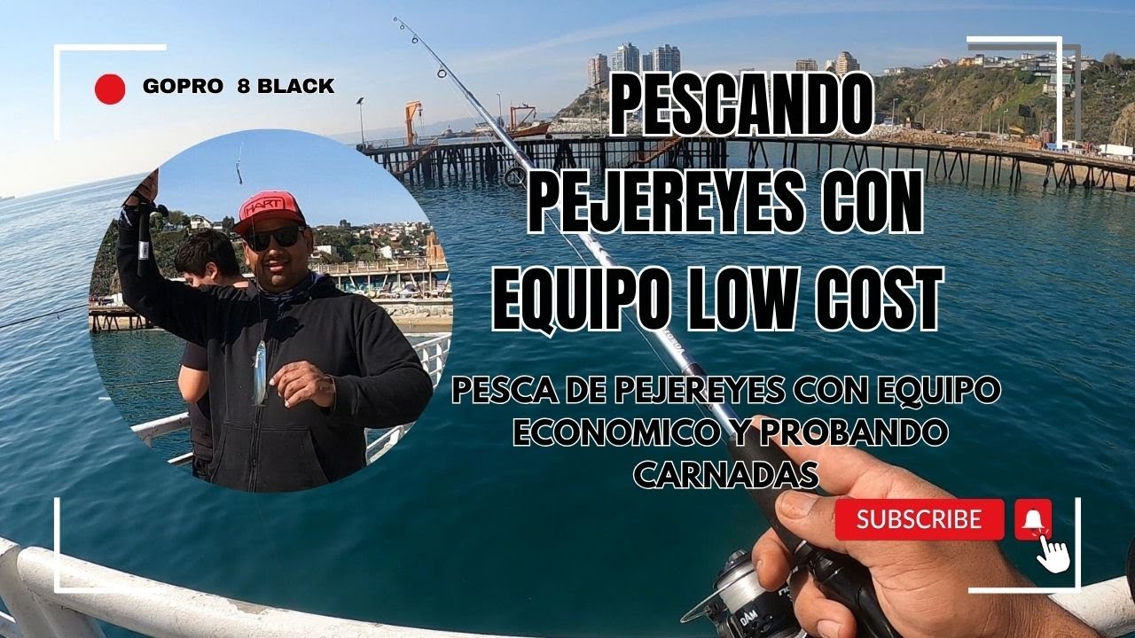 pescando pejerrey con equipo low cost + carnadas