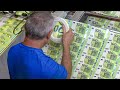 How they produce billion  worth of bank notes in europe  production line