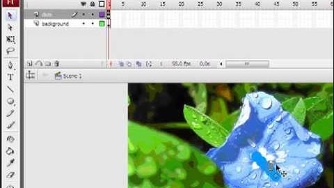 BSIT 3-1 (26) random dots effect(camtasia)
