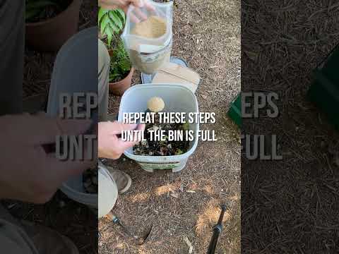 MY FIRST BOKASHI COMPOSTING BIN | #SHORTS