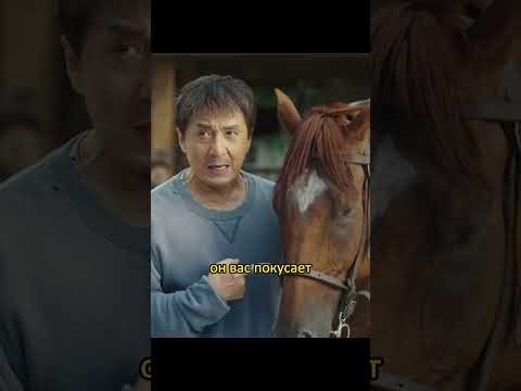 Хотели отобрать коня,