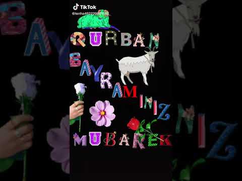 Qurban bayrami vidyo