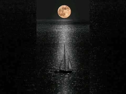 أقول أنساك كارول سماحه