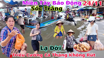 Khủng Khiếp Nước Dâng Sóc Trăng báo động nước dâng cả tháng không rút dân nghèo khóc ròng quá khổ