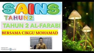 Sains Tahun 2 | Unit 2: Peraturan Bilik Sains