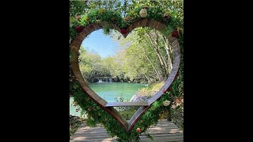 يوم تقلب وجوههم في النار يقولون يا ليتنا(تلاوة من سورة الأحزاب )🌿قرآن كريم 🌿القارئ إسلام صبحي