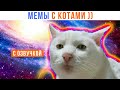 ЛАКАЛЬНЫЙ МЕМ ))) Котонеделя | Приколы с котами | Мемозг 1350