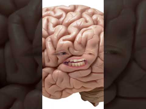 Conversations With My Brain EP 1 Eating Healthy FoodSkit Brainrot Comedy Funny