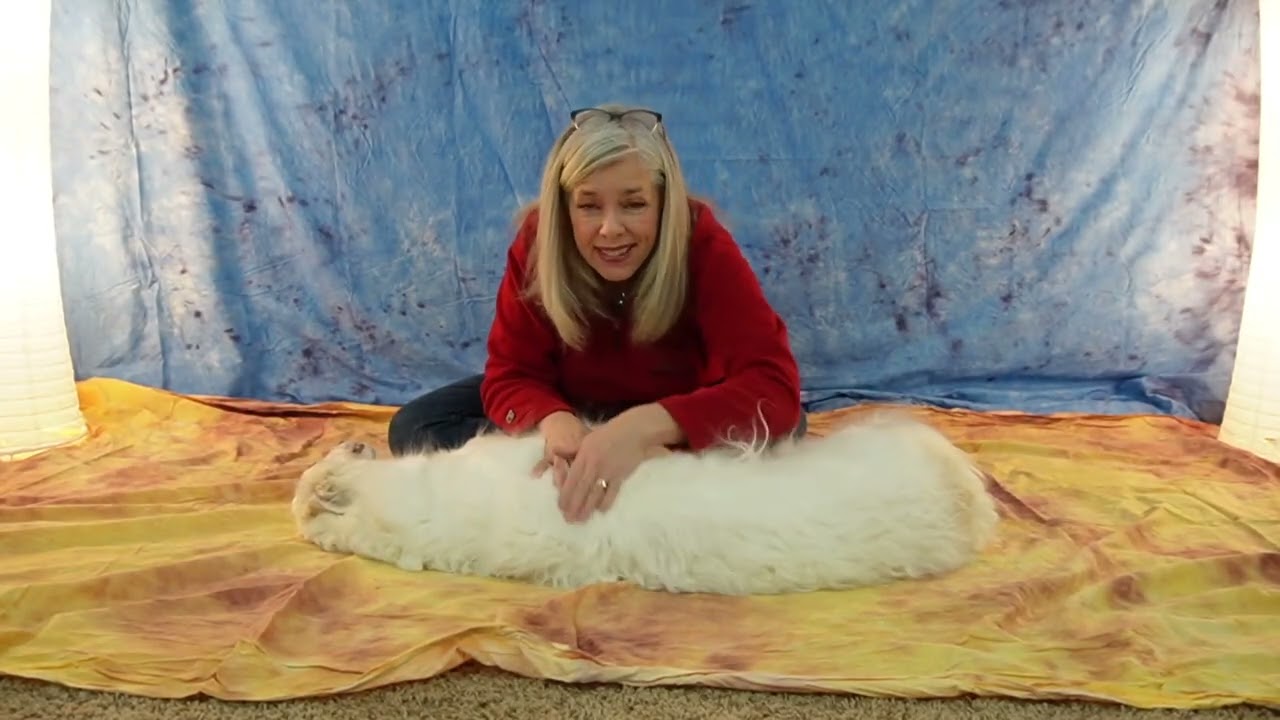 FourLegRehabMinute-RibTreatmentSpecificity