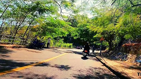 Du lịch Vũng Tàu - cảnh đẹp trên con đường lên Ngọn Hải Đăng