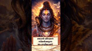 ഞാൻ തപസ്വിയാണ് - ശിവനും ഞാനും