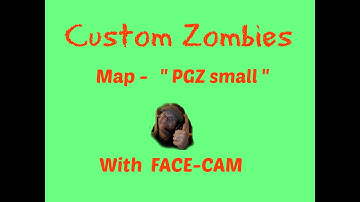 Custom Zombies   " W / Face-cam "