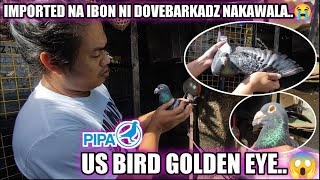 US BIRD GOLDEN EYE..😱 | IMPORTED NA IBON NI DOVEBARKADZ NAKAWALA.😭