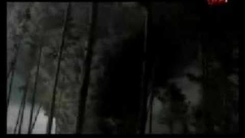 تلاوة رائعة للقارئ ناصر القطامي من سورة النساء