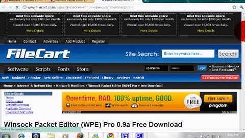 How To Download WPE For Free (Virus Free)